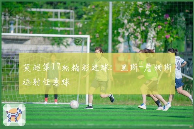 英超第17轮精彩进球：里斯-詹姆斯远射任意球